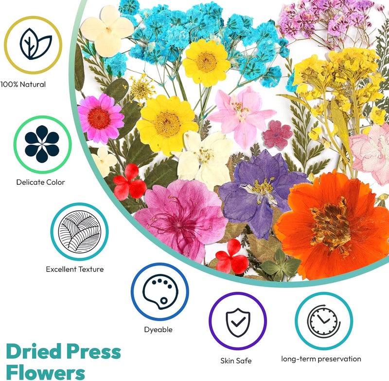 Resiners Dried Flowers, 58Pcs Pressed Flowers for Craft Pink Real Natural Dried Flowers Dry Leaves Kit for DIY Making Crafts Resin Soap Candle Scrapbook Supplies Card Making Jewelry - Image 3